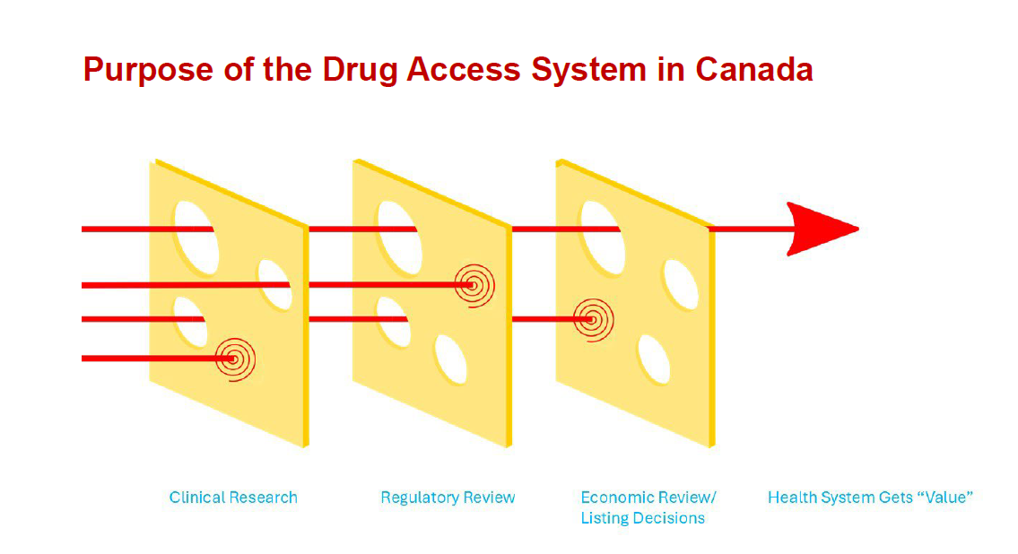 Purpose of the drug access system in Canada